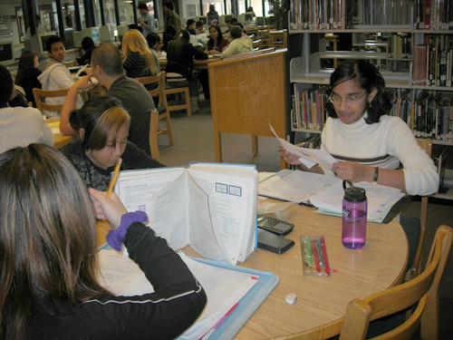 Students at the library