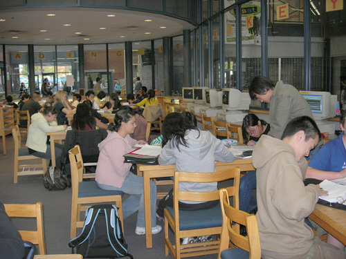 Students at the library