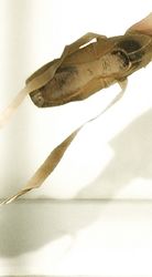 Ballet Shoe